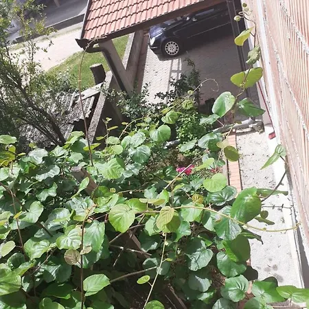 Spirit Apartman Medjugorje